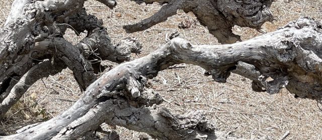 ¿QUÉ ES LO QUE PUEDO HACER?  2