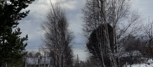 LA OLLA MEDIO VACÍA, un relato