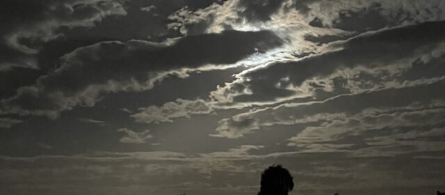 ENTRE LA INERCIA Y LA VOLUNTAD