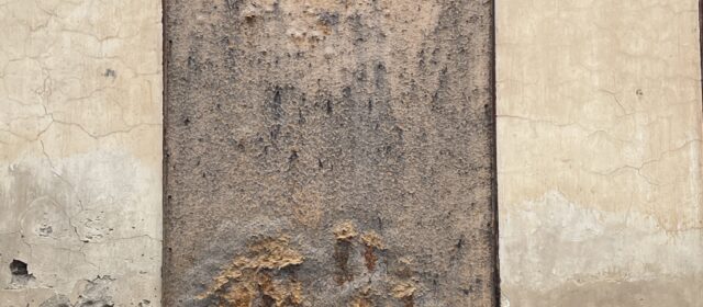 POLARIZACIÓN (Reflexiones sobre la actualidad-1)